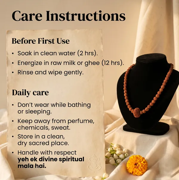 Classic_11_Mukhi_Rudraksha_Bead_In_5_Mukhi_Rudraksha_Mala_|_Balance_&_Protection