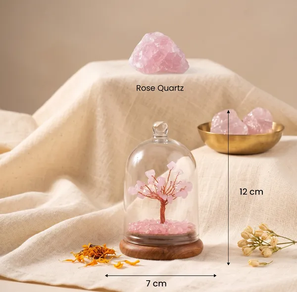 Timeless_Love_Attraction_Dome_Tree_|_Balance_&_Protection