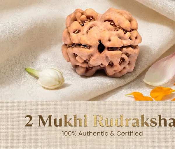 Minimalist_Nepal_Origin_2_Mukhi_Rudraksha_17Mm_To_22Mm_|_Balance_&_Protection