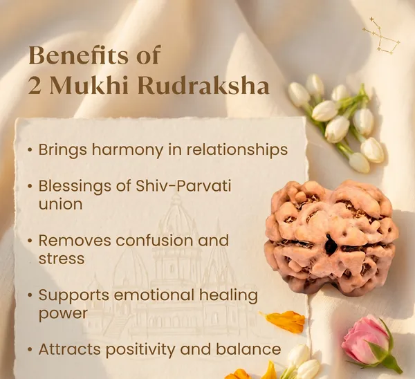 Minimalist_Nepal_Origin_2_Mukhi_Rudraksha_17Mm_To_22Mm_|_Balance_&_Protection