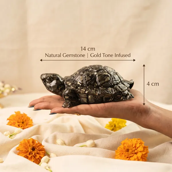 Elegant_Vastu_Pyrite_Tortoise_Combo_Small_Kachhua_With_Big_Kachhua_|_Wealth_&_Success