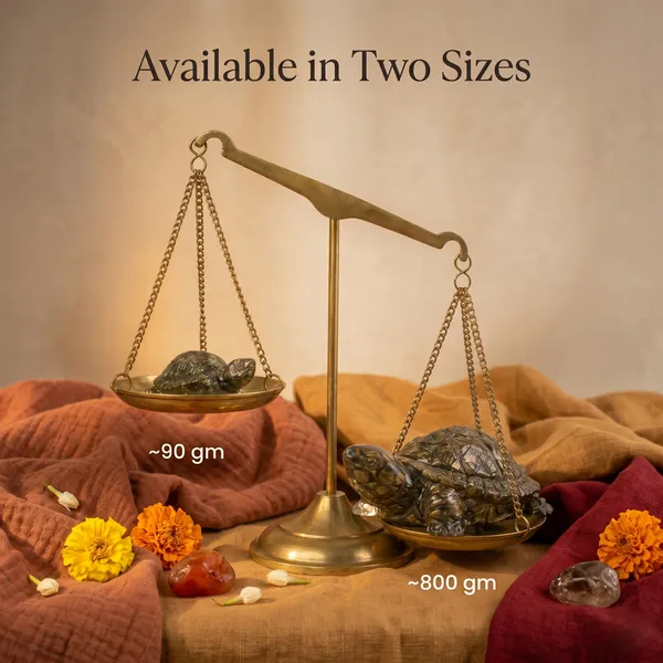 Elegant_Vastu_Pyrite_Tortoise_Combo_Small_Kachhua_With_Big_Kachhua_|_Wealth_&_Success