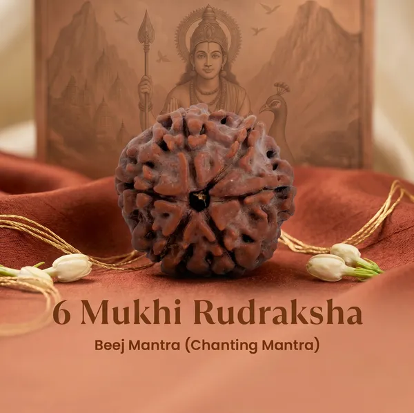 Divine_Nepal_Origin_6_Mukhi_Rudraksha_17Mm_To_22Mm_Without_Silver_Capping_|_Balance_&_Protection