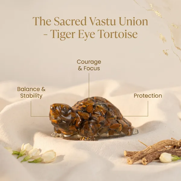 Powerful_Vastu_Tiger_Eye_Tortoise_Kachhua_|_Balance_&_Protection