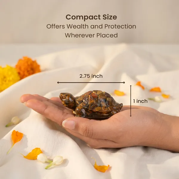 Powerful_Vastu_Tiger_Eye_Tortoise_Kachhua_|_Balance_&_Protection