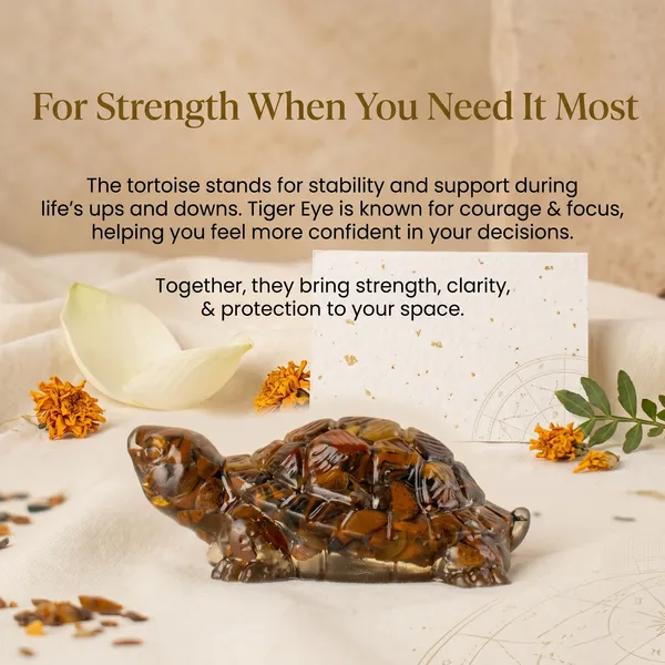 Powerful_Vastu_Tiger_Eye_Tortoise_Kachhua_|_Balance_&_Protection