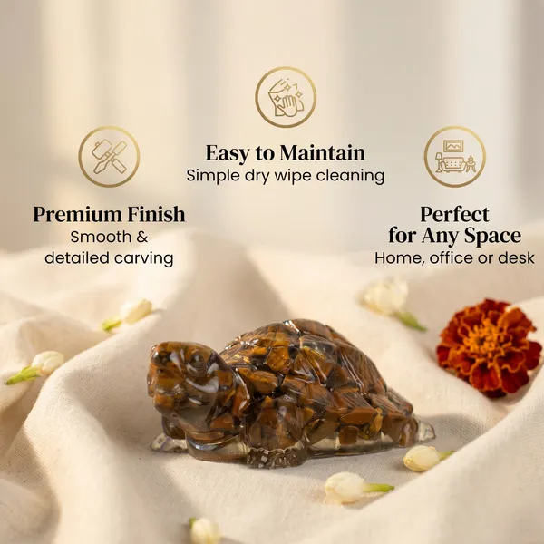 Powerful_Vastu_Tiger_Eye_Tortoise_Kachhua_|_Balance_&_Protection