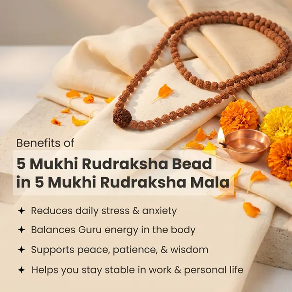Handcrafted_5_Mukhi_Rudraksha_Bead_In_5_Mukhi_Rudraksha_Mala_|_Balance_&_Protection