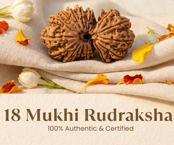 Handcrafted_Nepal_Origin_18_Mukhi_Rudraksha_17Mm_To_22Mm_|_Balance_&_Protection
