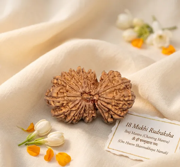 Handcrafted_Nepal_Origin_18_Mukhi_Rudraksha_17Mm_To_22Mm_|_Balance_&_Protection