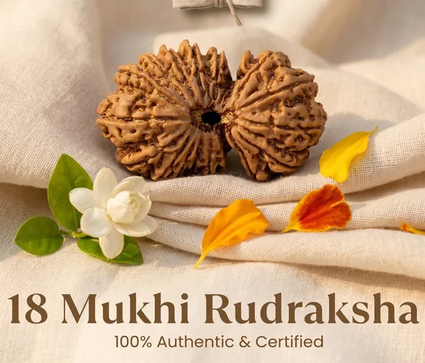 Handcrafted_Nepal_Origin_18_Mukhi_Rudraksha_17Mm_To_22Mm_|_Balance_&_Protection