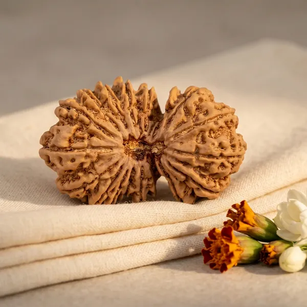 Handcrafted_Nepal_Origin_18_Mukhi_Rudraksha_17Mm_To_22Mm_|_Balance_&_Protection