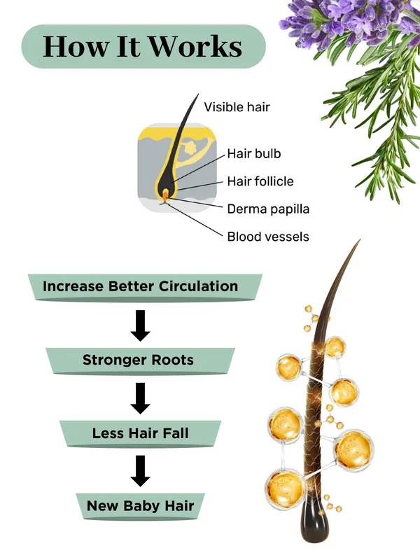 Biobird_Rosemary_Hair_Growth_Oil_100ml_(Pack_Of_2)