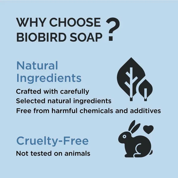 Biobird_Skin_Glow_Sheet_Mask_For_Dull_Face