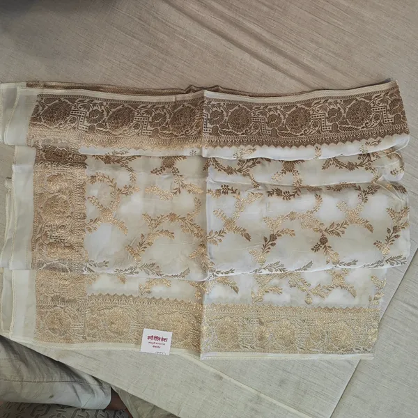 Beige_Georgette_With_Banarasi_Work_Dupatta_For_Women