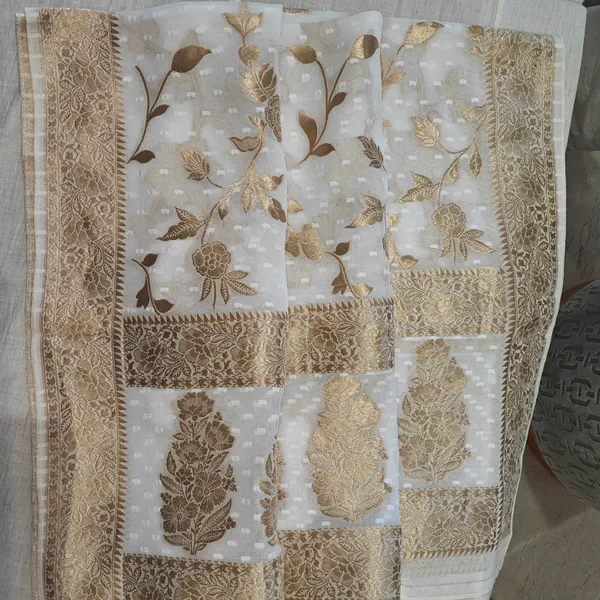 Beige_Georgette_With_Banarasi_Work_Dupatta_For_Women
