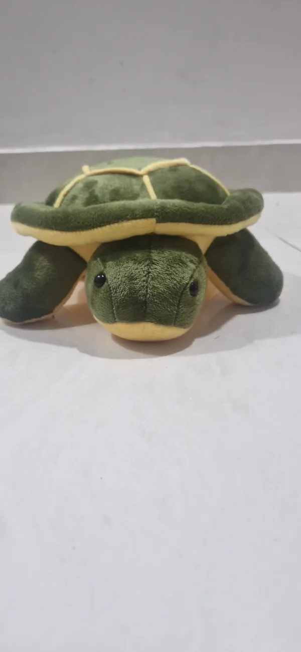 Green_Plush_Turtle_Soft_Toy