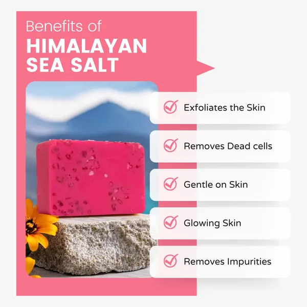 Pink_Himalayan_Salt_Soap_Pack_Of_2