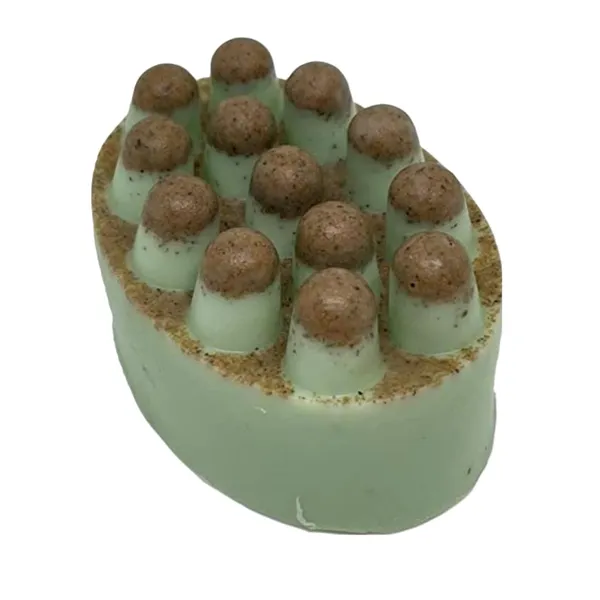 Walnut_Shell_Scrub_Soap_Pack_Of_2