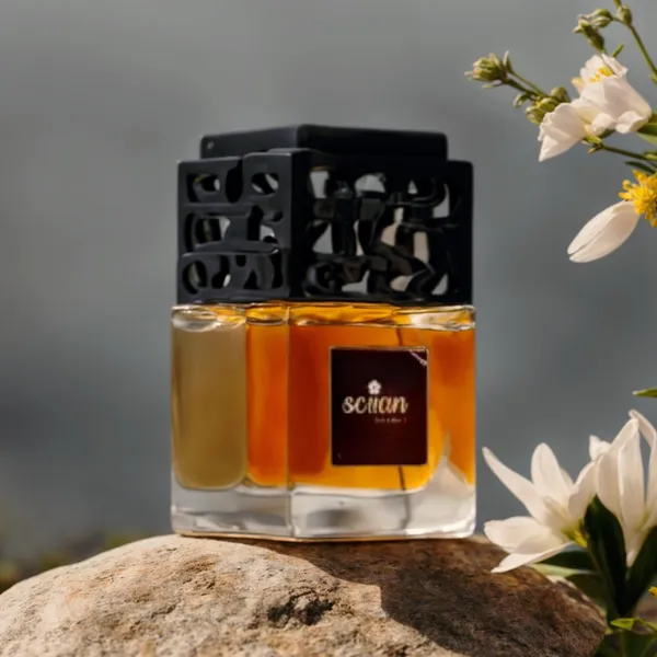 Car_Diffuser_With_Essential_Oils