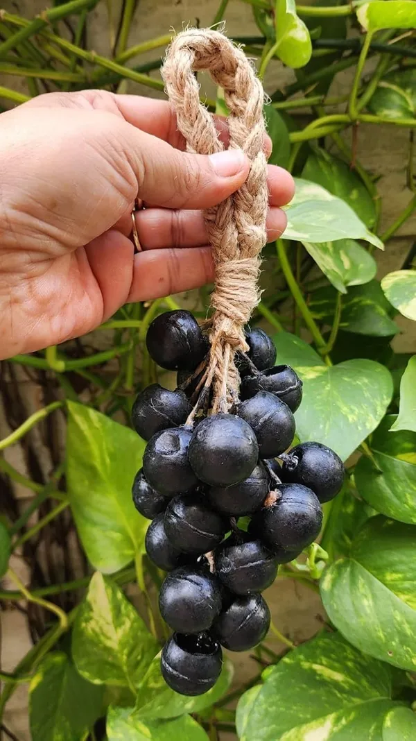 Charcoal_Grape_Bar_Soap
