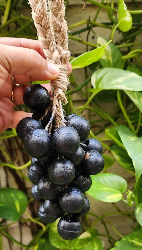 Charcoal_Grape_Bar_Soap