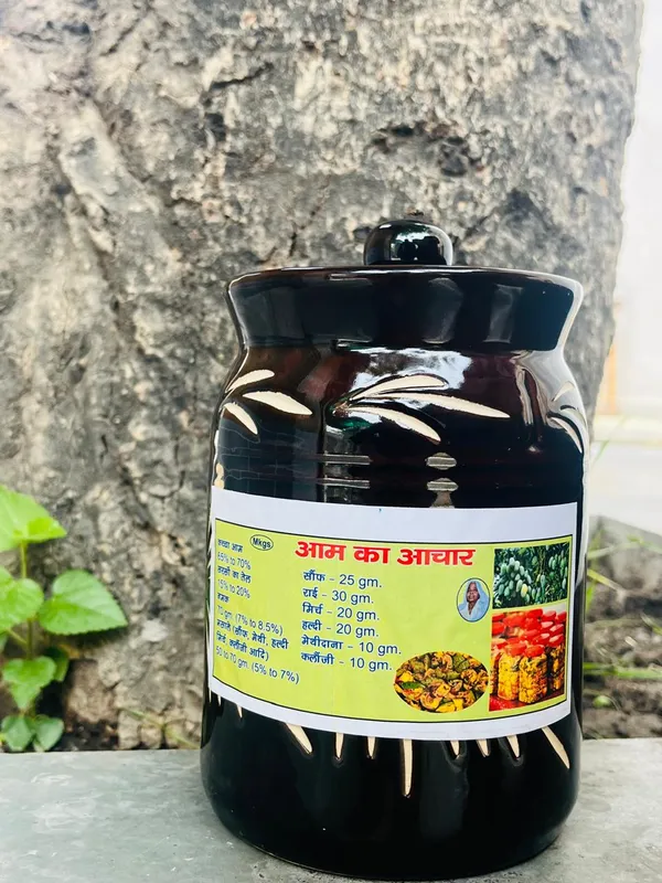 Mkgs_Aam_Ka_Achar_Mango_Pickle_Spice_Mix
