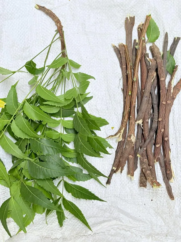 Mkgs_Fresh_Neem_Leaves_And_Bark_Ayurvedic
