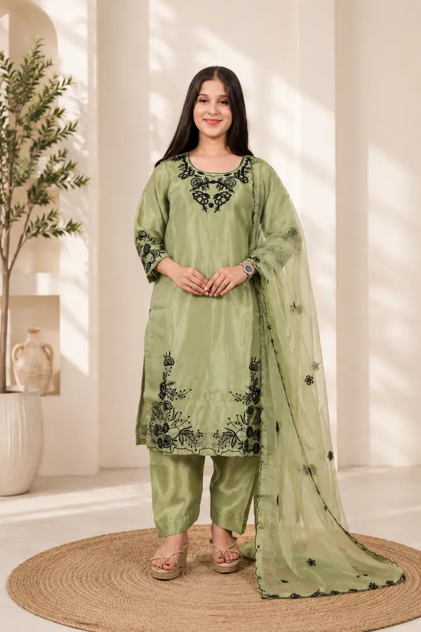 Olive_Green_Organza_Embroidered_Salwar_Suit_Set_For_Women