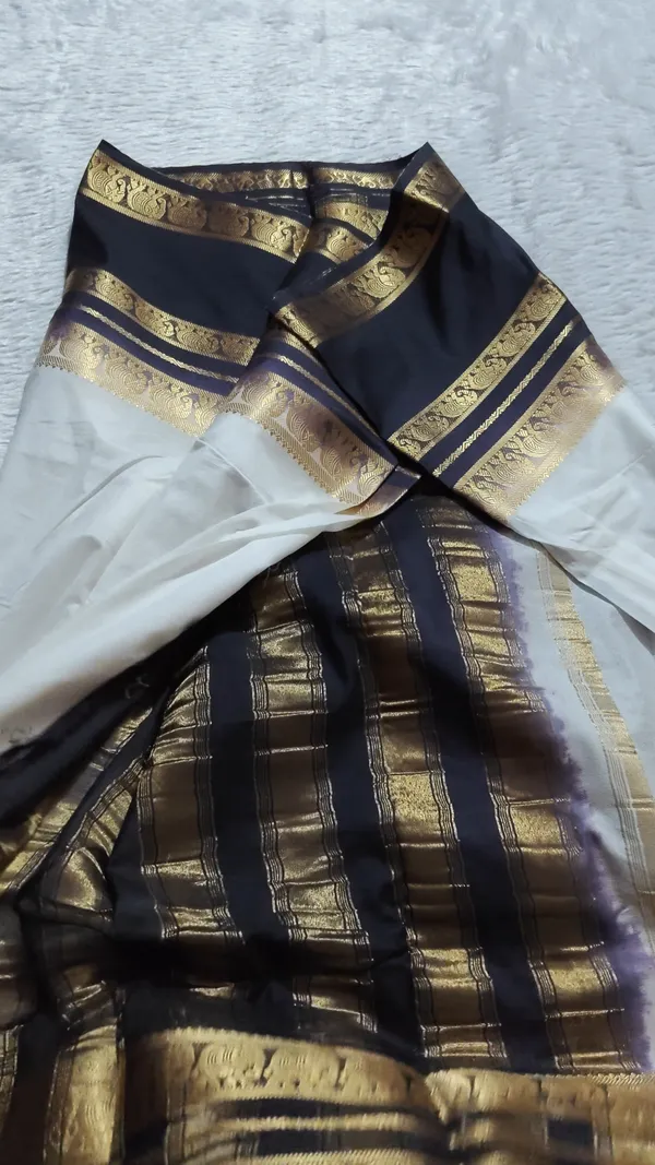 Self_colour_golden_zari_Tissue_sarees