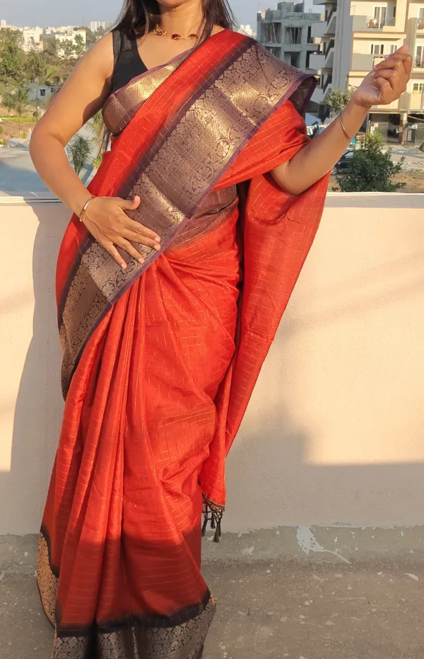 Borderless_Georgette-_Chariot_butta_with_chex