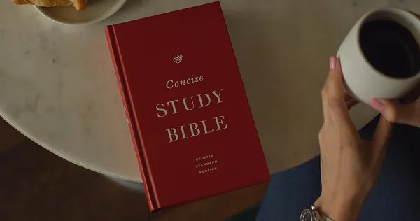 Esv_Concise_Study_Bible_Tm