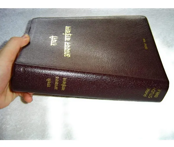 Ryrie_Study_Bible_Hindi_Original_Translated_Version