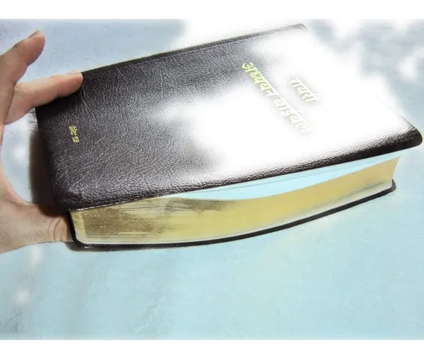 Ryrie_Study_Bible_Hindi_Original_Translated_Version