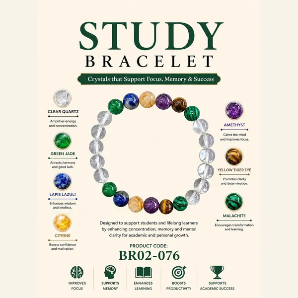 STUDY