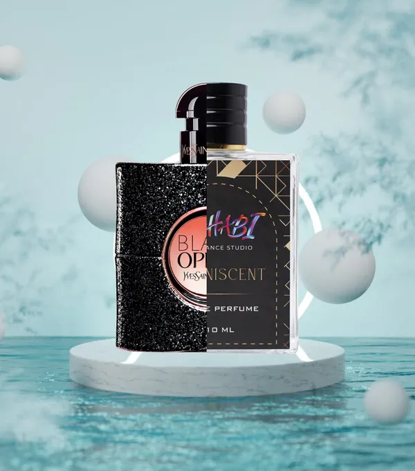 Inspired_By_Yves_Saint_Laurent_Black_Opium_Reminiscent_Zrslbo_210