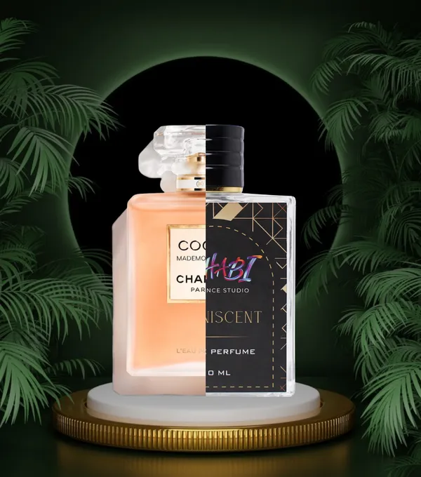 Inspired_By_Chanel_Coco_Mademoiselle_Zrccm_207