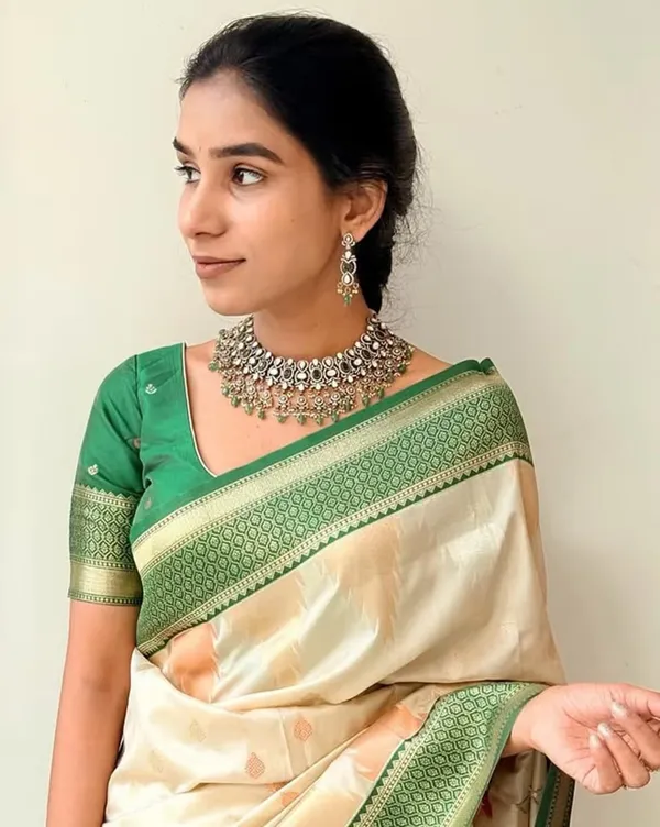 Art_Silk_Jacquard_Border_Saree