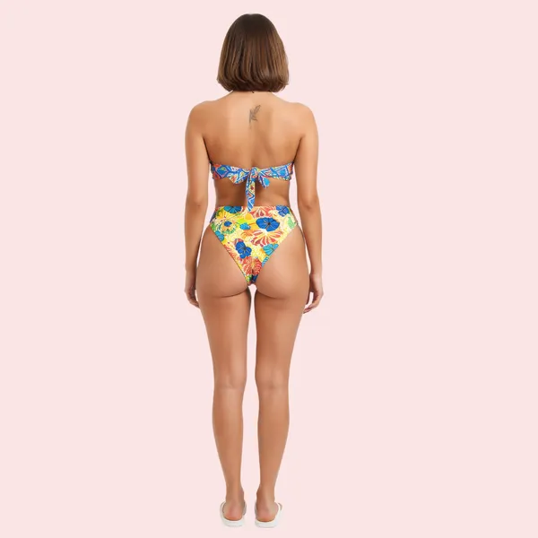 Multicolor_High-Cut_Bikini_Bra_For_Women