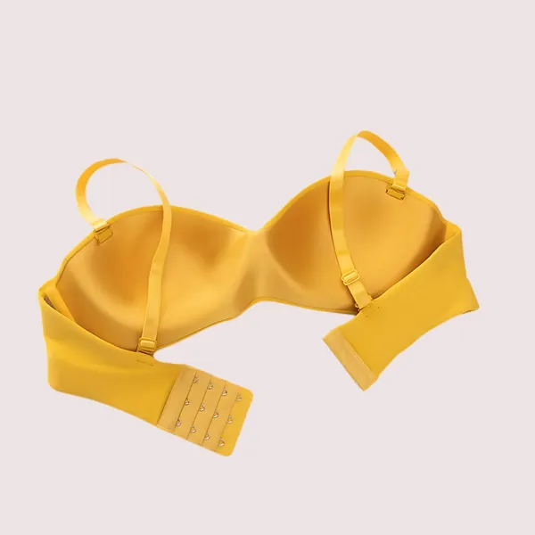 Multicolour_Padded_Demi_Cup_T-Shirt_Bra_Pack_Of_2_For_Women