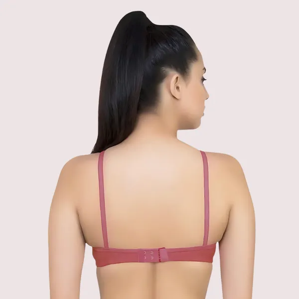 Pink_Lightly_Padded_Classic_Bra_Pack_Of_2_For_Women