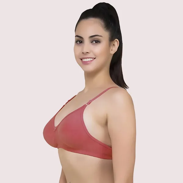 Pink_Lightly_Padded_Classic_Bra_Pack_Of_2_For_Women