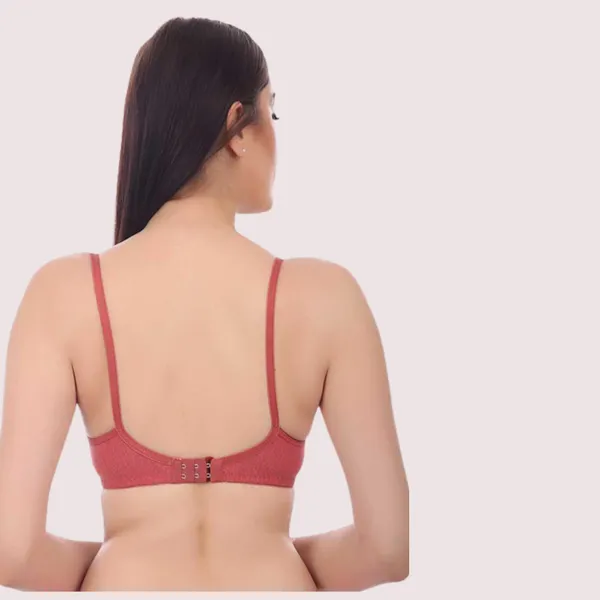 Multicolour_Padded_Non-Wired_Push-Up_Bra_Pack_Of_3_For_Women