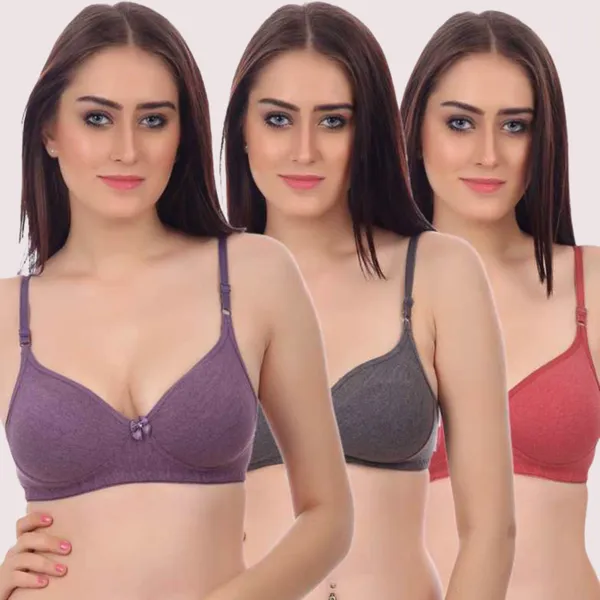 Multicolour_Padded_Non-Wired_Push-Up_Bra_Pack_Of_3_For_Women