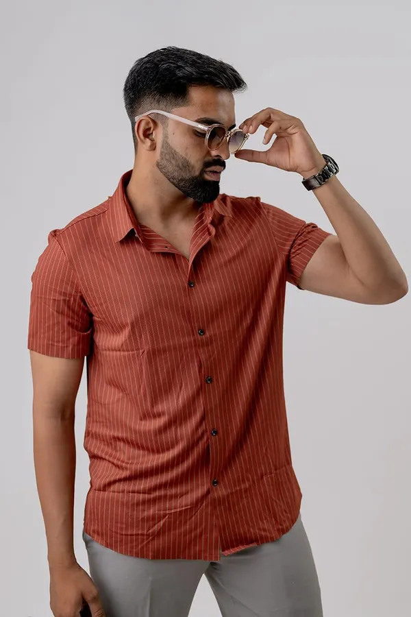 Rust_Striped_Relaxed_Fit_Half_Sleeve_Casual_Shirt_For_Men