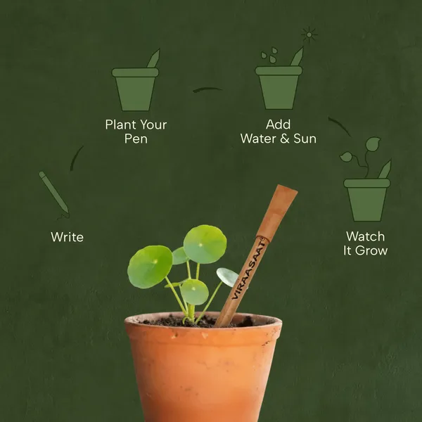 Eco_Friendly_Plantable_Seed_Pens_Write_Plant_And_Grow_Biodegradable_Sustainable_Writing_Solution_Pack_Of_20