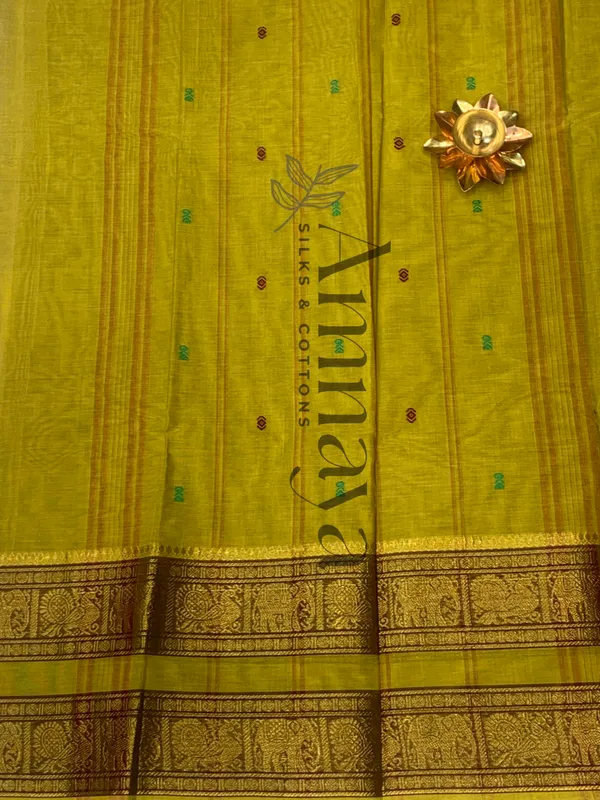 Mustard_Gold_Zari_Border_Saree