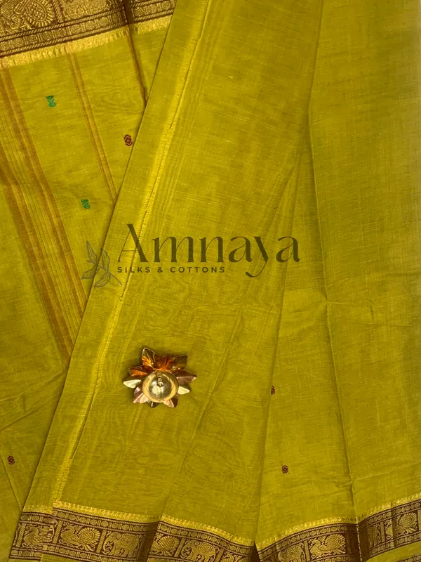 Mustard_Gold_Zari_Border_Saree