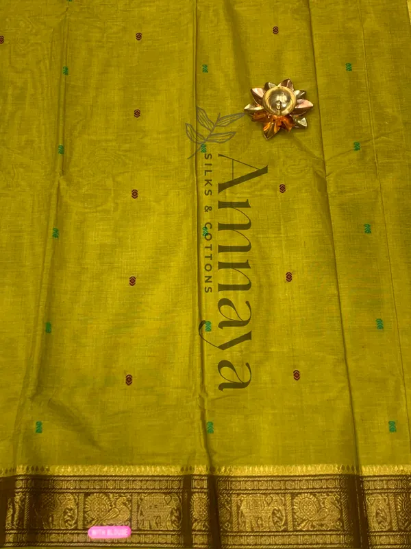 Mustard_Gold_Zari_Border_Saree