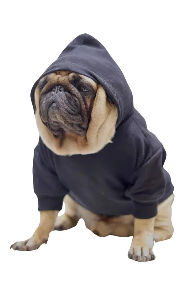 Black_Cotton_Pullover_Hoodie_For_Dogs